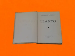 Llanto - Imagen 2