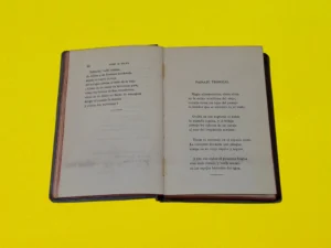 Poesías (Edición Definitiva) - Imagen 3