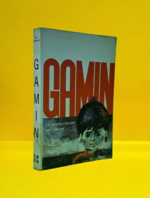 Gamín: Un ser Olvidado